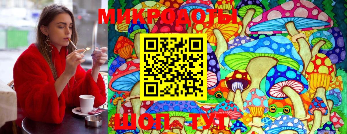 Галлюциногенные грибы прущие грибы Ступино