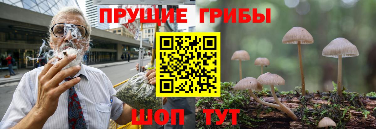Ступино  Галлюциногенные грибы MAGIC MUSHROOMS  Вход с VPN 